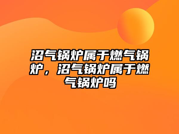 沼氣鍋爐屬于燃?xì)忮仩t，沼氣鍋爐屬于燃?xì)忮仩t嗎