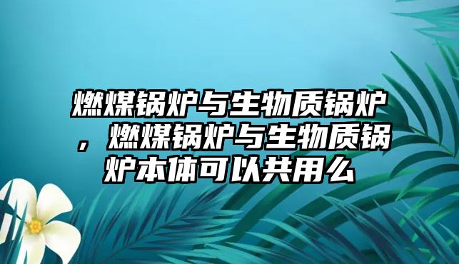 燃煤鍋爐與生物質(zhì)鍋爐，燃煤鍋爐與生物質(zhì)鍋爐本體可以共用么