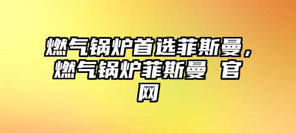 燃?xì)忮仩t首選菲斯曼，燃?xì)忮仩t菲斯曼 官網(wǎng)