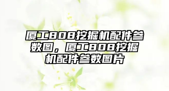 廈工808挖掘機配件參數(shù)圖，廈工808挖掘機配件參數(shù)圖片