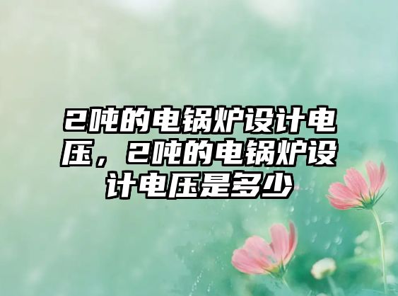 2噸的電鍋爐設(shè)計(jì)電壓，2噸的電鍋爐設(shè)計(jì)電壓是多少