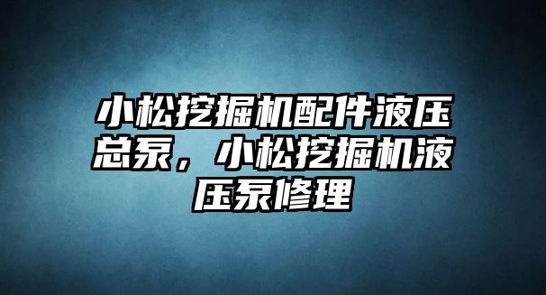 小松挖掘機配件液壓總泵，小松挖掘機液壓泵修理