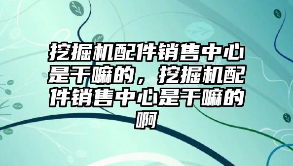 挖掘機配件銷售中心是干嘛的，挖掘機配件銷售中心是干嘛的啊