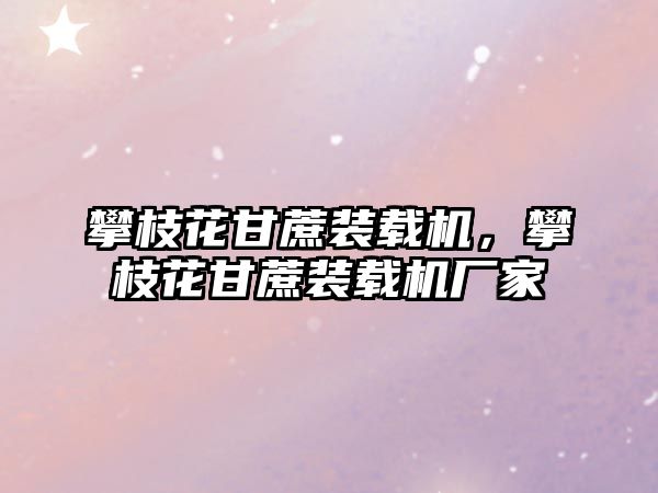 攀枝花甘蔗裝載機，攀枝花甘蔗裝載機廠家