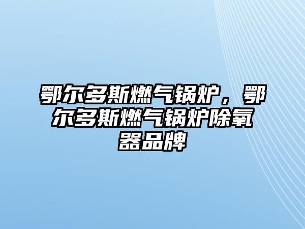 鄂爾多斯燃?xì)忮仩t，鄂爾多斯燃?xì)忮仩t除氧器品牌