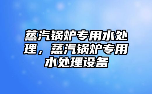 蒸汽鍋爐專用水處理，蒸汽鍋爐專用水處理設(shè)備