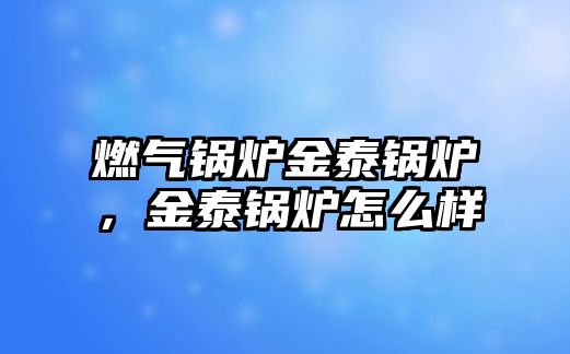 燃?xì)忮仩t金泰鍋爐，金泰鍋爐怎么樣