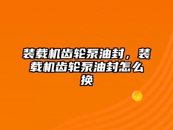 裝載機齒輪泵油封，裝載機齒輪泵油封怎么換