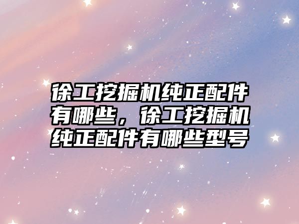 徐工挖掘機純正配件有哪些，徐工挖掘機純正配件有哪些型號