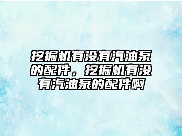 挖掘機(jī)有沒有汽油泵的配件，挖掘機(jī)有沒有汽油泵的配件啊