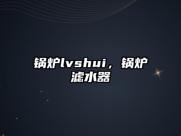 鍋爐lvshui，鍋爐濾水器