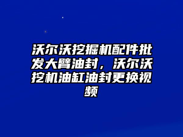 沃爾沃挖掘機配件批發(fā)大臂油封，沃爾沃挖機油缸油封更換視頻