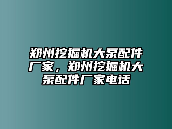 鄭州挖掘機(jī)大泵配件廠家，鄭州挖掘機(jī)大泵配件廠家電話