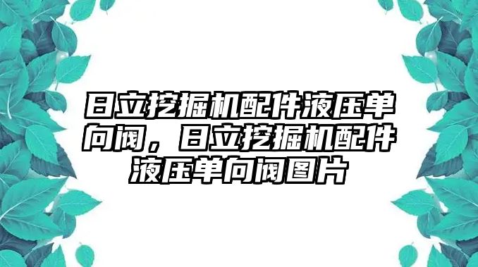 日立挖掘機(jī)配件液壓?jiǎn)蜗蜷y，日立挖掘機(jī)配件液壓?jiǎn)蜗蜷y圖片