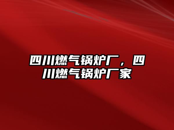 四川燃氣鍋爐廠，四川燃氣鍋爐廠家