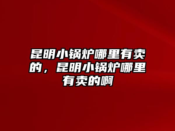 昆明小鍋爐哪里有賣的，昆明小鍋爐哪里有賣的啊