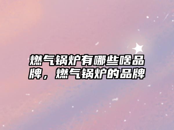 燃?xì)忮仩t有哪些啥品牌，燃?xì)忮仩t的品牌