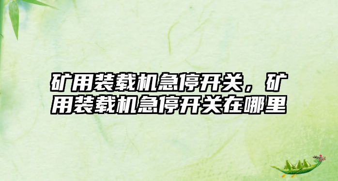 礦用裝載機急停開關，礦用裝載機急停開關在哪里