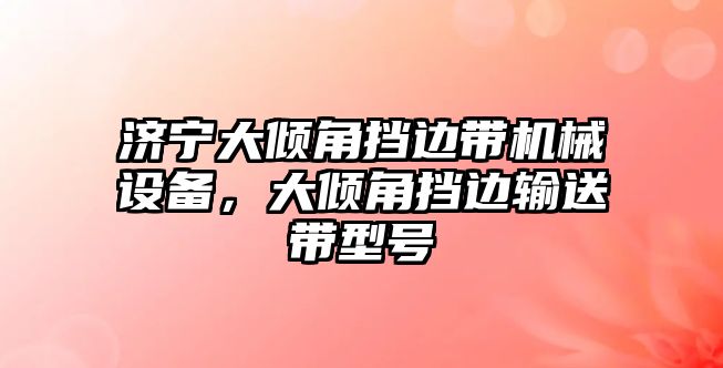 濟寧大傾角擋邊帶機械設(shè)備，大傾角擋邊輸送帶型號