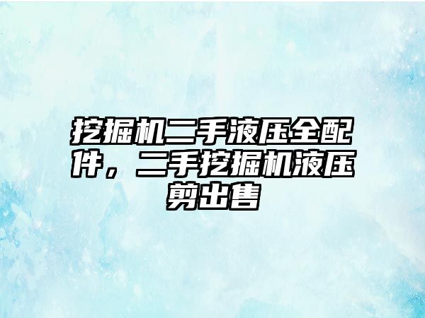 挖掘機二手液壓全配件，二手挖掘機液壓剪出售