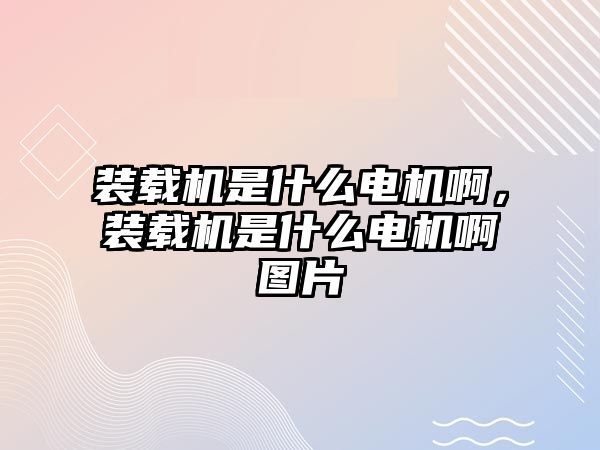 裝載機是什么電機啊，裝載機是什么電機啊圖片