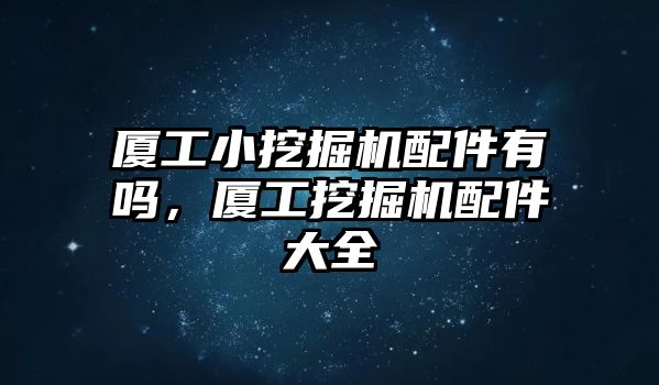 廈工小挖掘機(jī)配件有嗎，廈工挖掘機(jī)配件大全