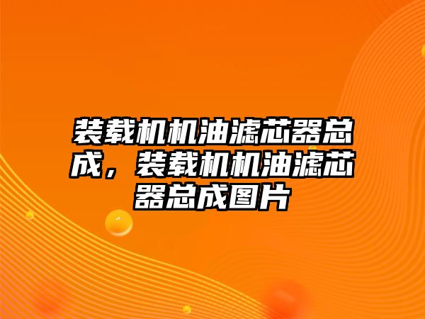 裝載機機油濾芯器總成，裝載機機油濾芯器總成圖片