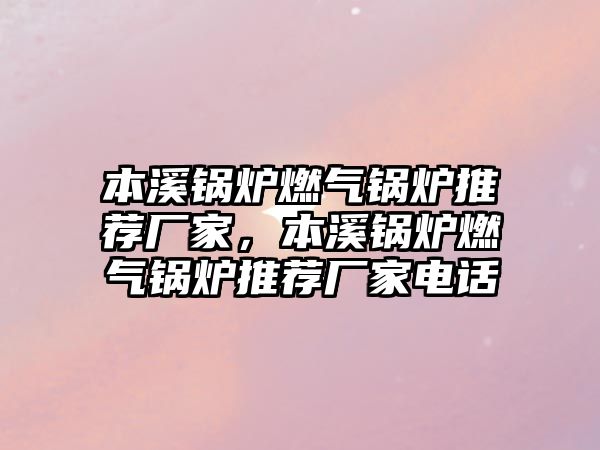 本溪鍋爐燃?xì)忮仩t推薦廠家，本溪鍋爐燃?xì)忮仩t推薦廠家電話