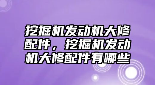 挖掘機發(fā)動機大修配件，挖掘機發(fā)動機大修配件有哪些