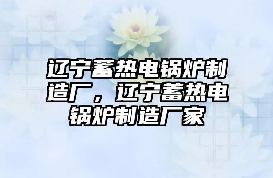 遼寧蓄熱電鍋爐制造廠，遼寧蓄熱電鍋爐制造廠家