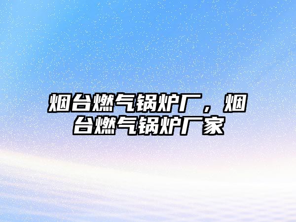 煙臺燃?xì)忮仩t廠，煙臺燃?xì)忮仩t廠家