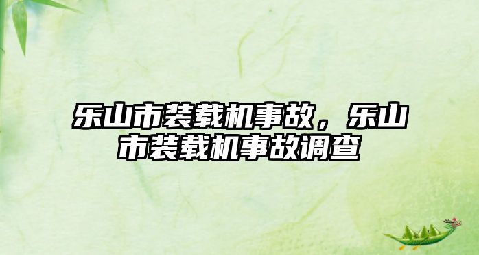 樂山市裝載機事故，樂山市裝載機事故調(diào)查