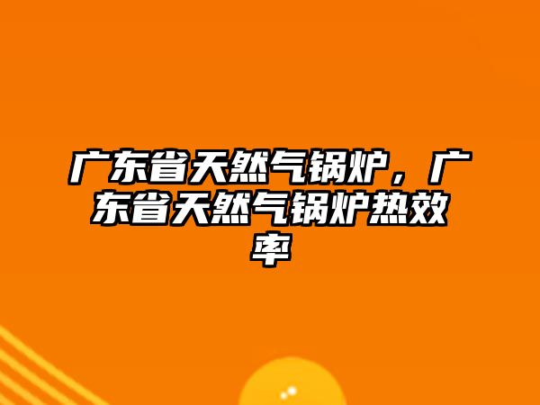 廣東省天然氣鍋爐，廣東省天然氣鍋爐熱效率