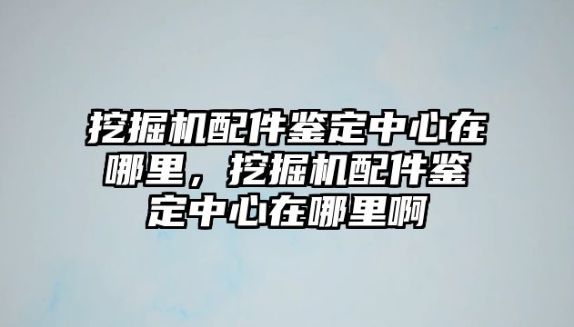 挖掘機配件鑒定中心在哪里，挖掘機配件鑒定中心在哪里啊