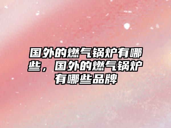 國外的燃?xì)忮仩t有哪些，國外的燃?xì)忮仩t有哪些品牌