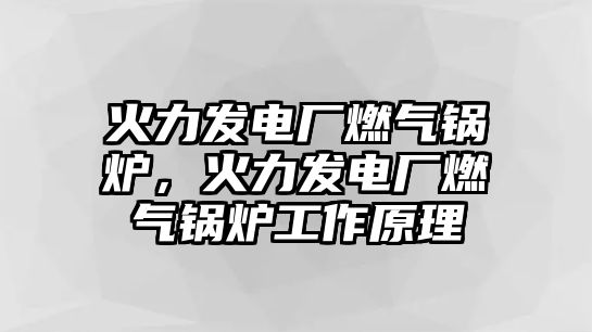 火力發(fā)電廠燃?xì)忮仩t，火力發(fā)電廠燃?xì)忮仩t工作原理