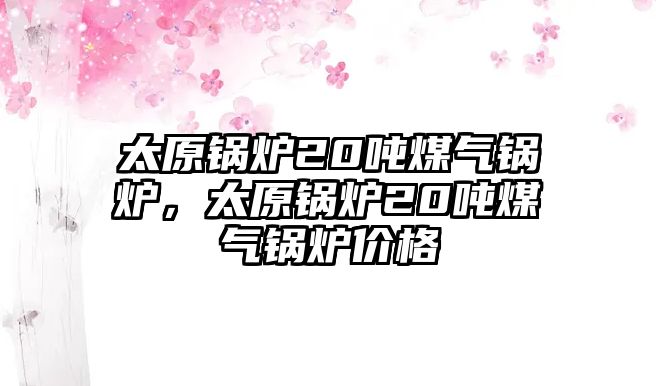 太原鍋爐20噸煤氣鍋爐，太原鍋爐20噸煤氣鍋爐價格