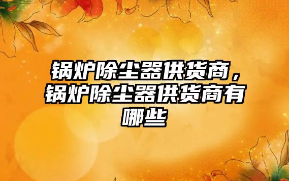 鍋爐除塵器供貨商，鍋爐除塵器供貨商有哪些