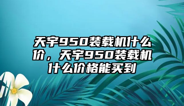 天宇950裝載機(jī)什么價，天宇950裝載機(jī)什么價格能買到