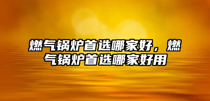 燃?xì)忮仩t首選哪家好，燃?xì)忮仩t首選哪家好用