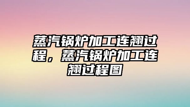 蒸汽鍋爐加工連翹過程，蒸汽鍋爐加工連翹過程圖