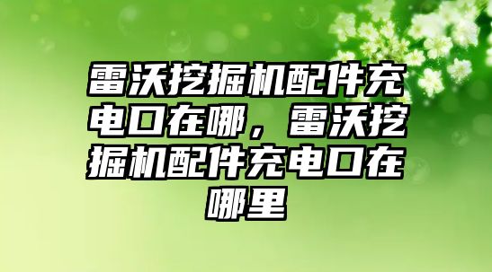 雷沃挖掘機(jī)配件充電口在哪，雷沃挖掘機(jī)配件充電口在哪里