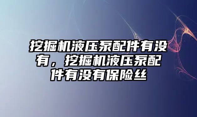 挖掘機(jī)液壓泵配件有沒有，挖掘機(jī)液壓泵配件有沒有保險(xiǎn)絲