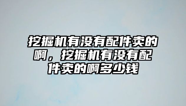 挖掘機有沒有配件賣的啊，挖掘機有沒有配件賣的啊多少錢