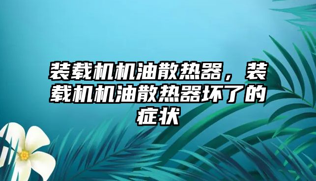 裝載機(jī)機(jī)油散熱器，裝載機(jī)機(jī)油散熱器壞了的癥狀