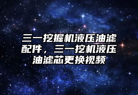 三一挖掘機(jī)液壓油濾配件，三一挖機(jī)液壓油濾芯更換視頻