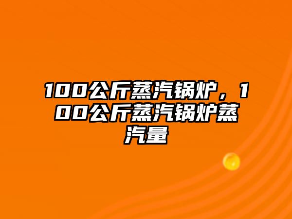 100公斤蒸汽鍋爐，100公斤蒸汽鍋爐蒸汽量