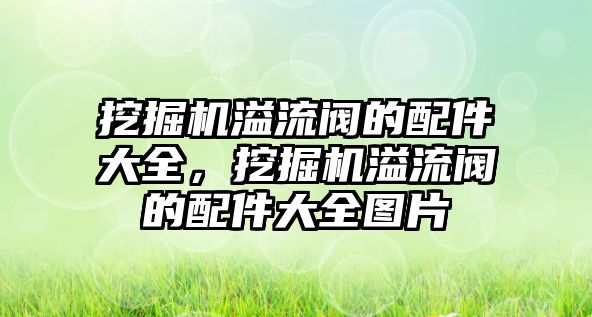 挖掘機(jī)溢流閥的配件大全，挖掘機(jī)溢流閥的配件大全圖片