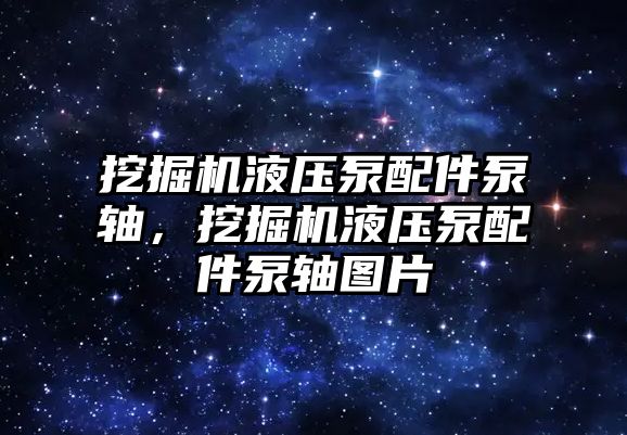 挖掘機液壓泵配件泵軸，挖掘機液壓泵配件泵軸圖片