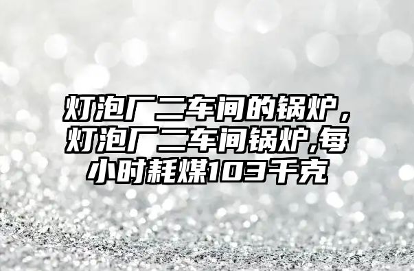 燈泡廠二車間的鍋爐，燈泡廠二車間鍋爐,每小時耗煤103千克